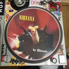 2025年最新】nirvana レア cdの人気アイテム - メルカリ
