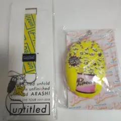 嵐★グッズセット