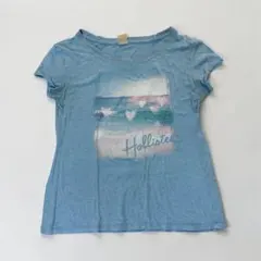 【美品】Hollister 半袖 Tシャツ ライトブルー Sサイズのサムネイル