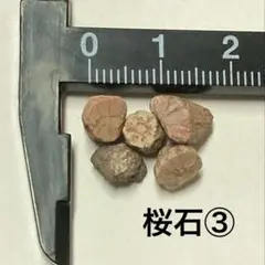 桜石③