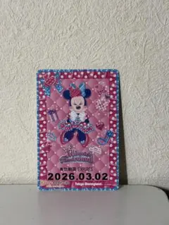 ミニーの日 フリーきっぷ 2026 3/2 リゾラ リゾートライン 子供②