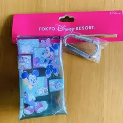 【新品・未使用】ディズニーリゾート カラビナケース付き１個