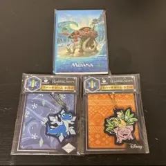 ディズニー ハッピーくじ ポストカードブック ラバーチャーム