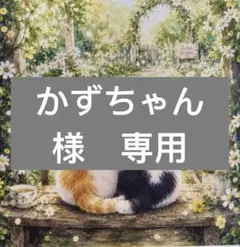 かずちゃん様　専用