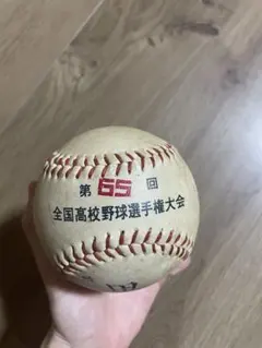 甲子園 センバツ 第65回 記念ボール 岩国高校 - メルカリ