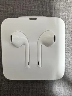 Apple Ear Pods 有線イヤフォン ケース付き