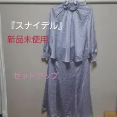 スナイデル　 セットアップ