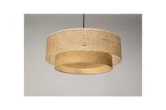 JOURNAL STANDARD FURNITURE ダフネ シーリングランプ