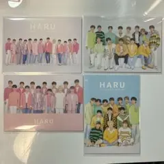 SEVENTEEN 2019年HARU イルコン　団体トレカセット　セブチ