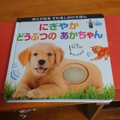 絵本 にぎやか どうぶつのあかちゃん