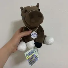 競馬】ディープインパクト（武豊40周年記念）アイドルホースSサイズ