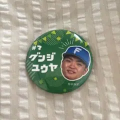 北海道日本ハムファイターズ 郡司裕也 選手 缶バッジ