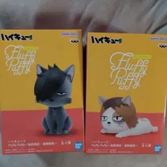 ハイキュー!! Fluffy Puffy フィギュア 2体セット C D