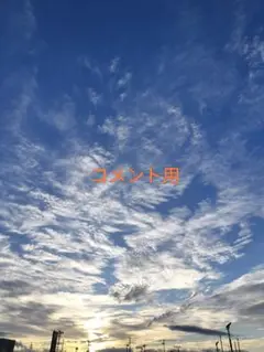 コメント専用