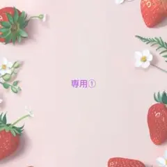 専用ページ①