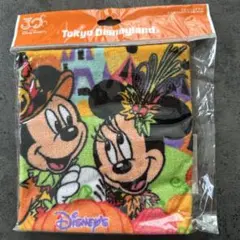 東京ディズニーランド　2013 ハロウィン　ウォッシュタオル
