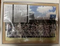 2025年最新】ダイヤのA 複製原画の人気アイテム - メルカリ