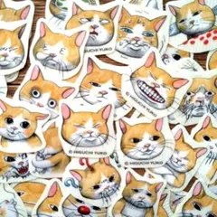 Item thumbnail for item d991824a-2620-4ea9-b58c-632335276033