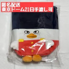 RIIZE RIIZING LOUD 東京ドーム ファンライトバッグ ソヒ ②