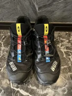 ひろゆき セール中 SALOMON XT-6 GTX ブラック27cm専用 ひろゆき セール中 SALOMON XT-6 GTX ブラック27cm専用 - メルカリ
