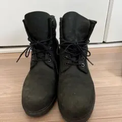 Item thumbnail for item 13466c42-f107-46d5-a137-022d1575060f