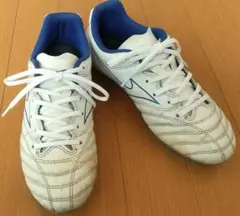 Item thumbnail for item 82d5deba-3344-446f-8c1c-86dde0f85eaf