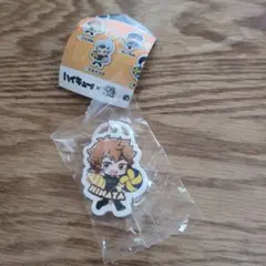 ハイキュー!! 日向翔陽 くら寿司ビッくらポン