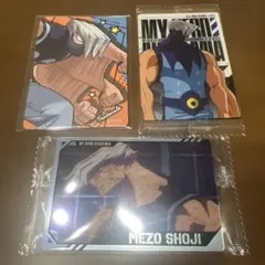 僕のヒーローアカデミア カードウエハース4【障子目蔵】