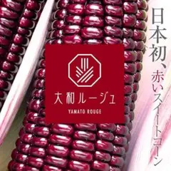 風太郎（ぷうたろう）プロフ必読様 リクエスト 2点 まとめ商品