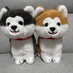 【最終値下げ本日まで】秋田犬くじ ぬいぐるみ 2体セットのサムネイル