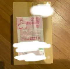 ポケモンセンター ヒロシマ スペシャルセット 1箱