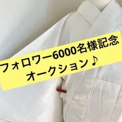 フォロワー6000名様記念オークション♪単衣長襦袢　ポリエステル　オフ白