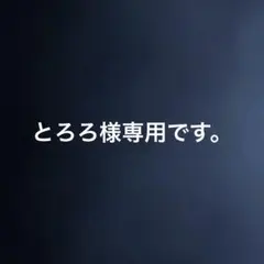 専用です。モンスターズインク　サリーのみ