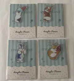 mofusand ファミマ アクリルチャーム全4種セット