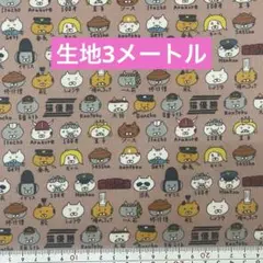 生地　3メートル　同封不可