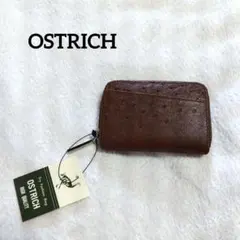 オーストリッチ　コインケース　ラウンドジップ　ダチョウ革　駝鳥　茶色　小銭入れのサムネイル