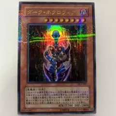 2025年最新】ダークネクロフィア パラレルの人気アイテム - メルカリ