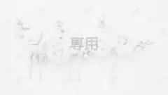 専用