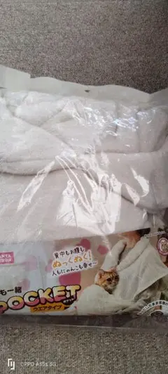 Item thumbnail for item c2859e1b-04c5-4af6-87c2-43032c73d8fd