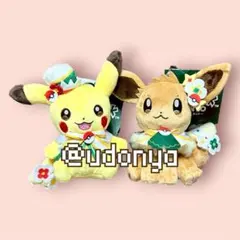 タグ付き ポケパーク カントー ぬいぐるみ ピカチュウ カーニバル衣装