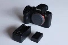 2026年最新】sony α7IIの人気アイテム - メルカリ