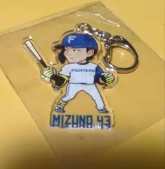 水野達稀 ビンゴアクリルキーホルダー