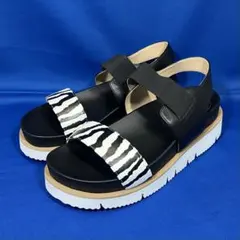 Item thumbnail for item a55d7f5b-ec59-4162-a009-4603b3a517ab