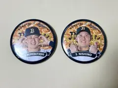 オリックス 宮崎キャンプ 2025 ゴボチ 缶バッジ 紅林弘太郎　西野真弘　2個