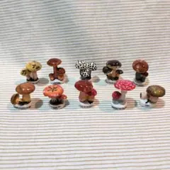 キノコのフェーブ　10種セット　ツヤあり