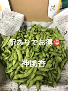 本日朝収穫！発送！茶豆風味の枝豆のサムネイル