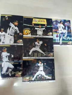 阪神タイガース 2011年4月19日から21日フォト6枚セット