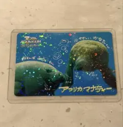レア 鳥羽水族館 コレクションカード 第2弾 マナティー みらい かなた