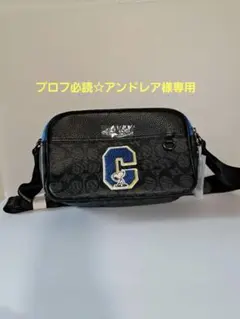 プロフ必読☆アンドレア様専用 COACH SNOOPYショルダーバッグ