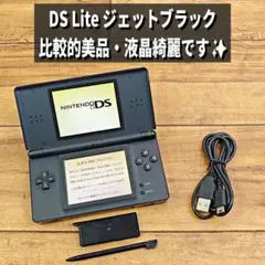 【比較的美品・分解整備済✨】ニンテンドーDS Lite ジェットブラック L81